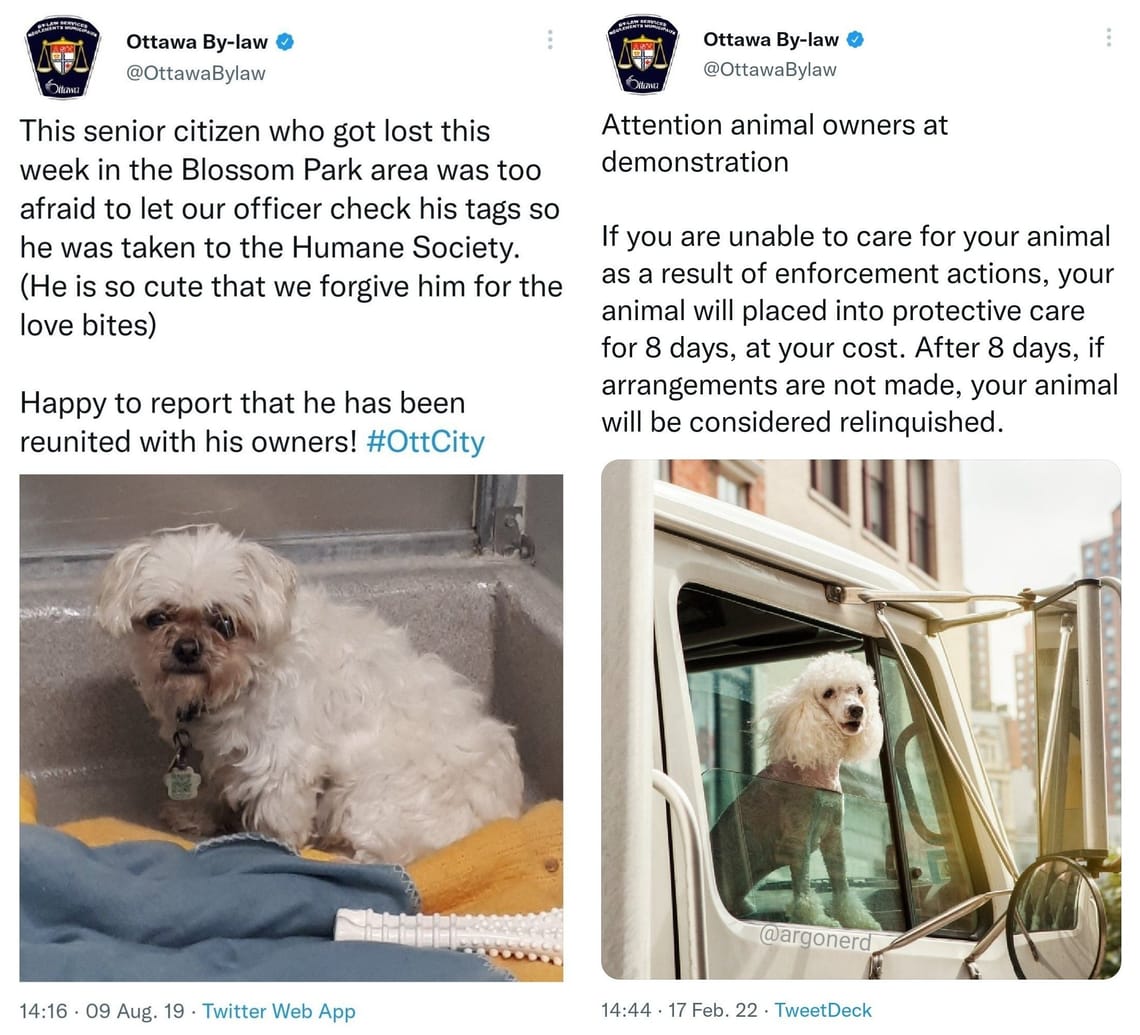 Import nach Datenbankcrash - Nummer 394