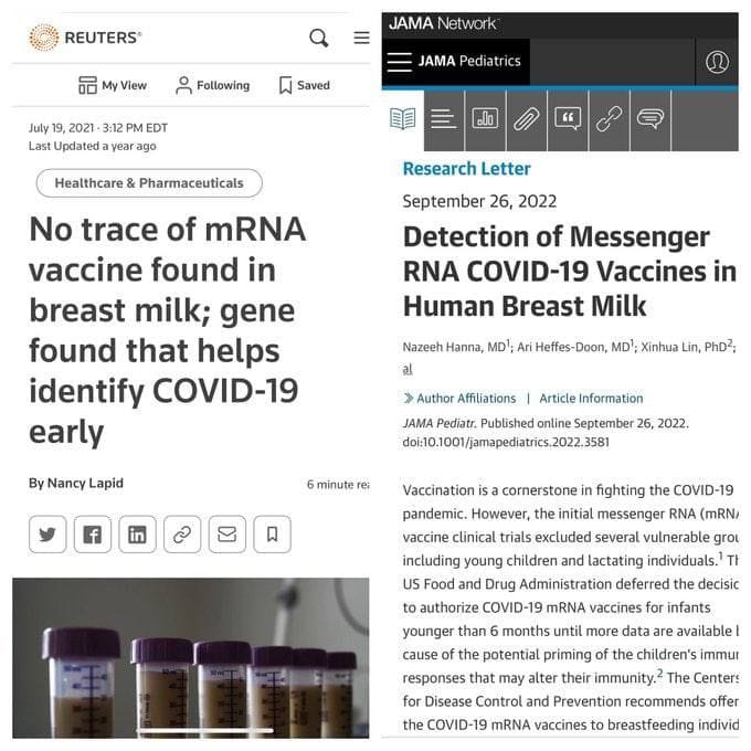 Import nach Datenbankcrash - Nummer 274