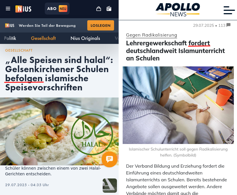 Ersatzmigration und Unterwerfung