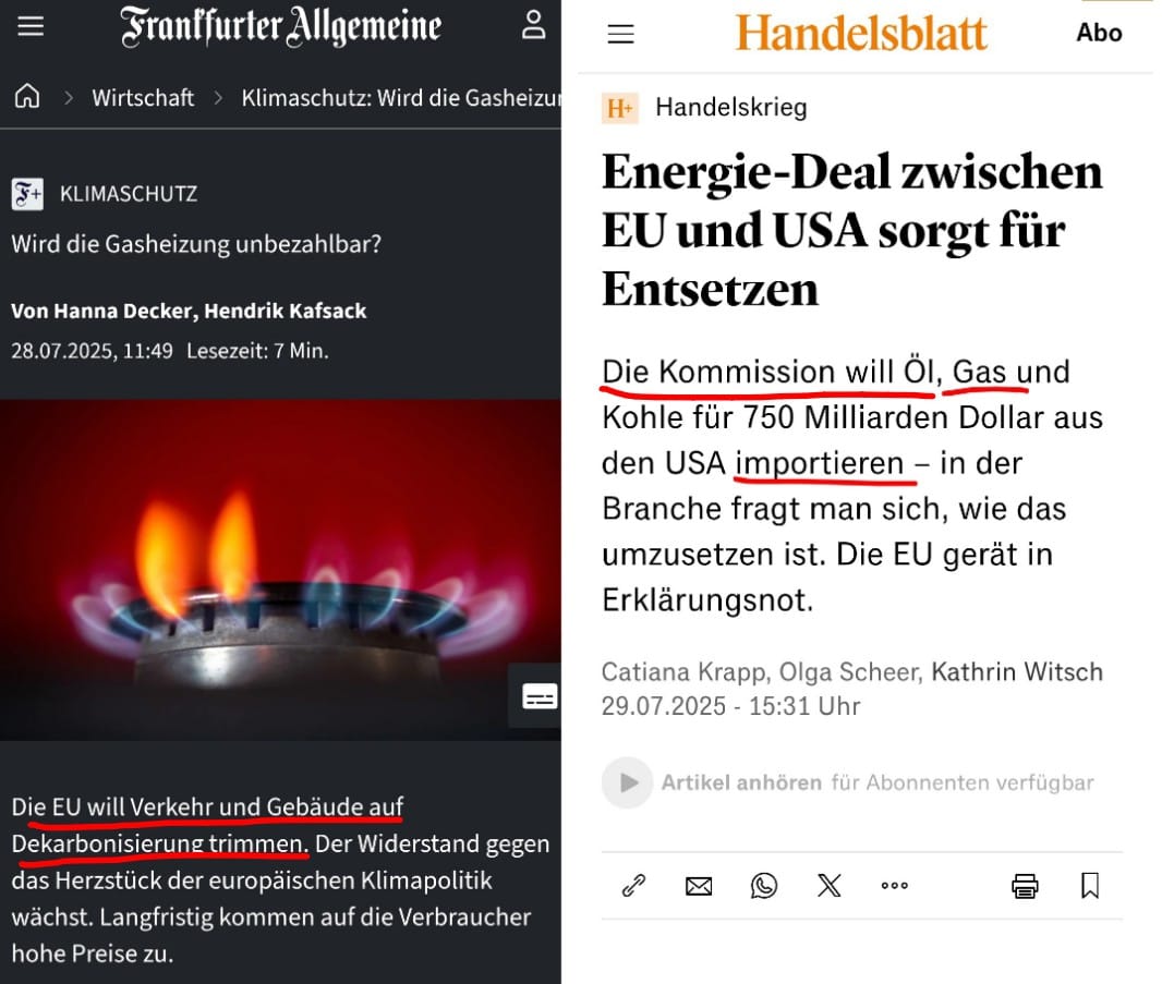 Import nach Datenbankcrash - Nummer 206