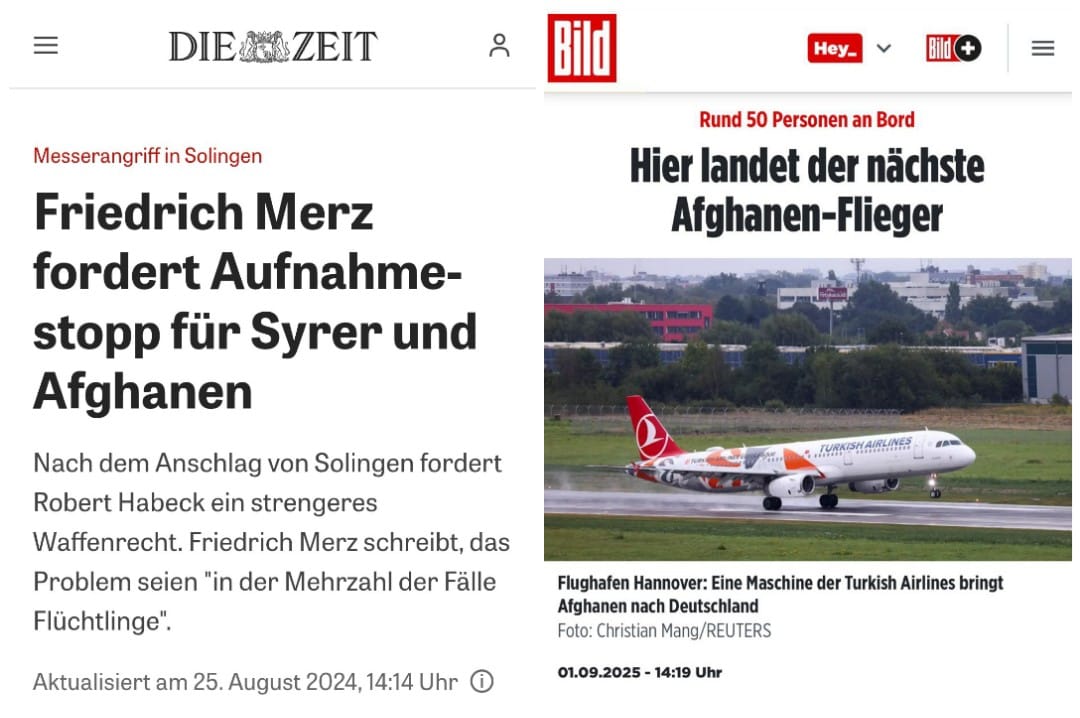 Import nach Datenbankcrash - Nummer 41