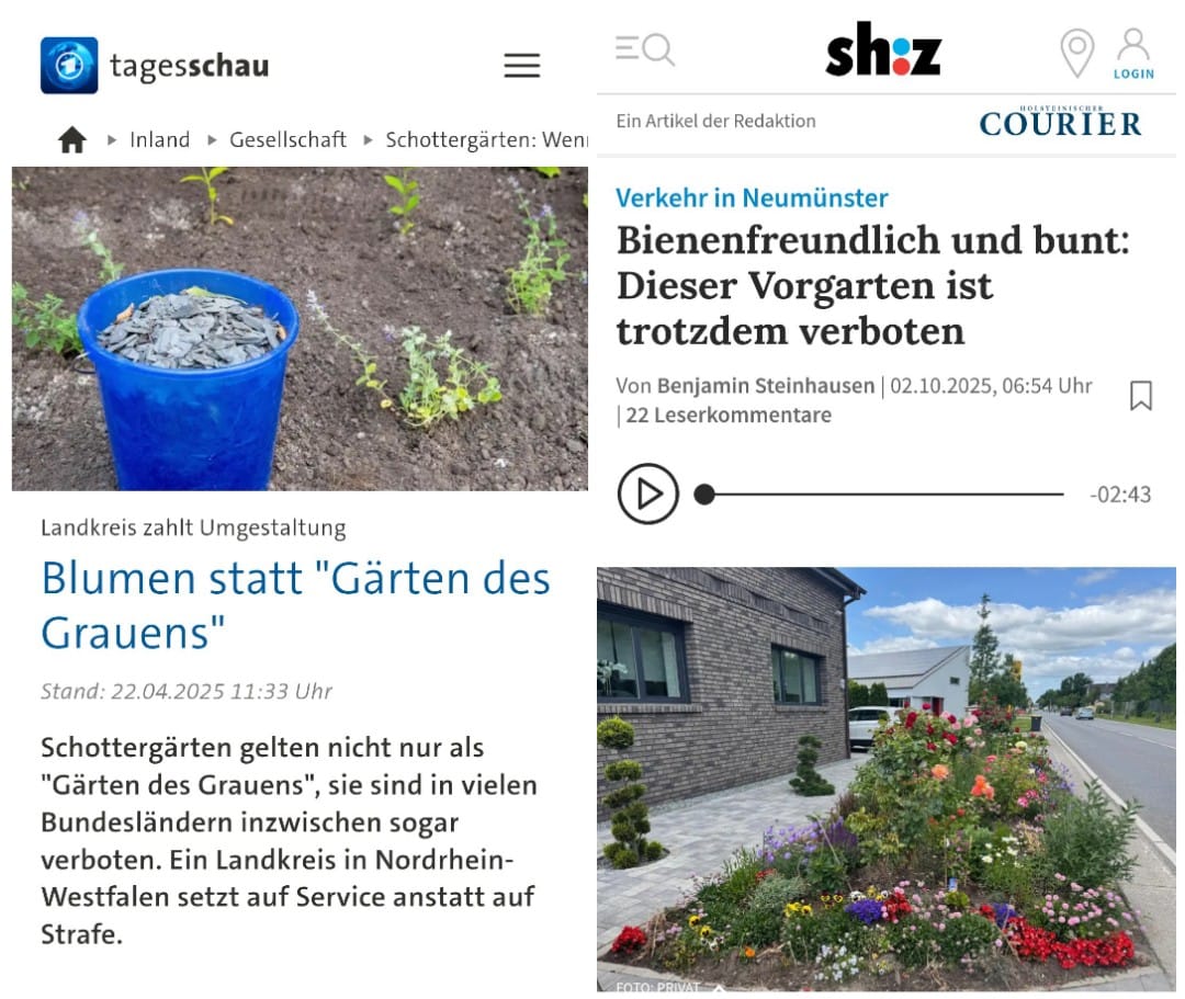 Import nach Datenbankcrash - Nummer 79