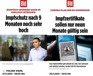 Import nach Datenbankcrash - Nummer 615