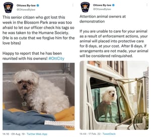 Import nach Datenbankcrash - Nummer 394