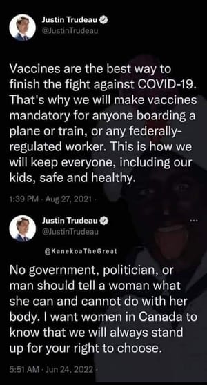 Import nach Datenbankcrash - Nummer 486