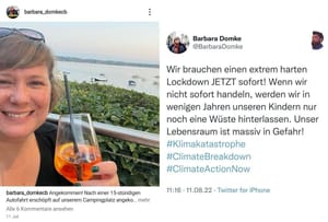 Import nach Datenbankcrash - Nummer 515