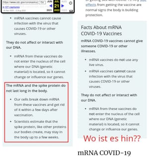 Import nach Datenbankcrash - Nummer 537