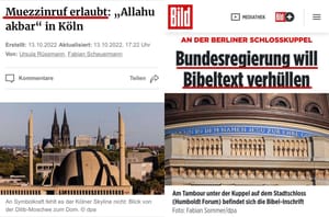 Import nach Datenbankcrash - Nummer 238