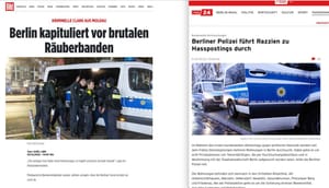 Import nach Datenbankcrash - Nummer 345