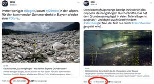 Import nach Datenbankcrash - Nummer 1306