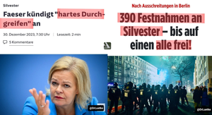 Import nach Datenbankcrash - Nummer 1137