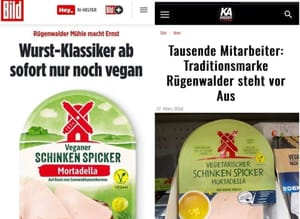 Import nach Datenbankcrash - Nummer 996