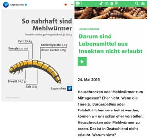 Import nach Datenbankcrash - Nummer 134