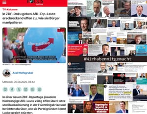 Import nach Datenbankcrash - Nummer 198