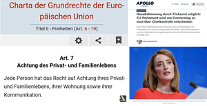 Pseudogrundrechte der EU